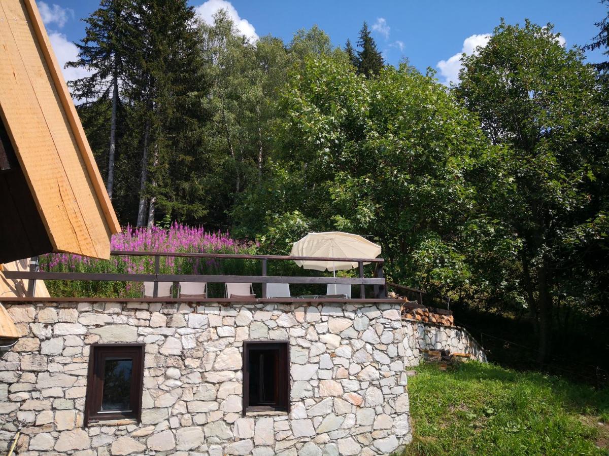 Le Chalet Pointu De Capucine Villa Bourg-Saint-Maurice Exterior photo